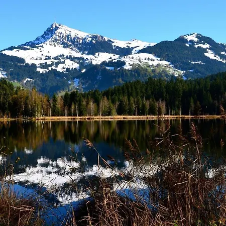 Barbara דירה קיצביהל