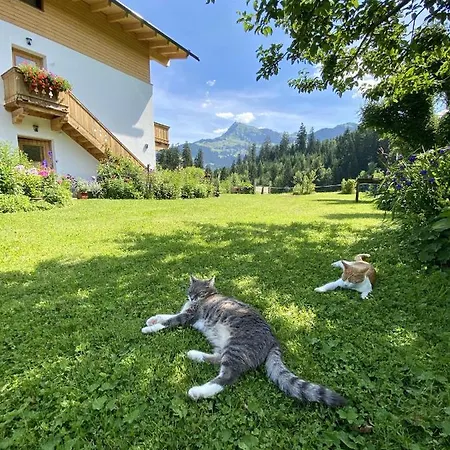 Appartamento Barbara *