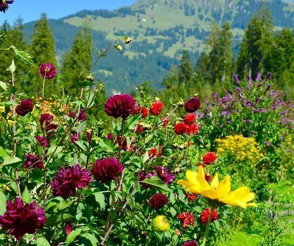 Barbara Apartamento *