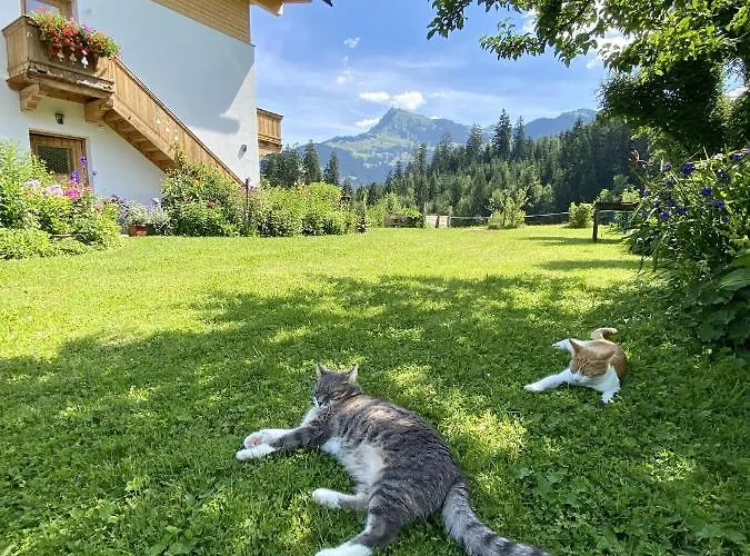 Apartamento Barbara *