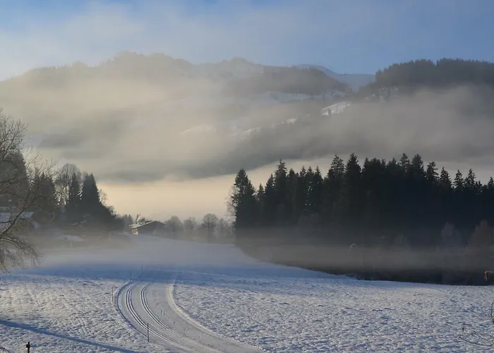 Barbara * 基茨比厄尔