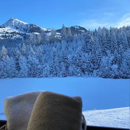 Barbara Lägenhet Kitzbühel