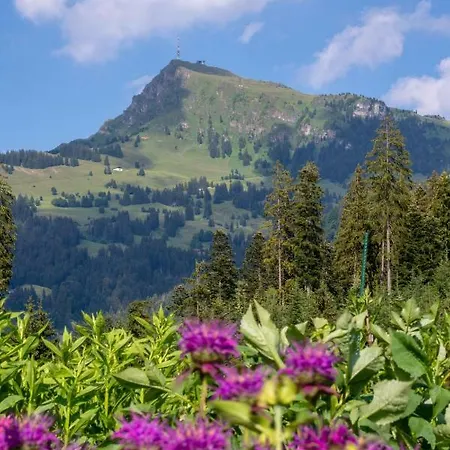 Appartement Barbara *